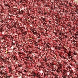 Dried Hibiscus Flowers ( Bulk)