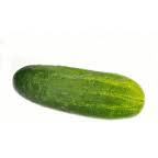 Cucumber